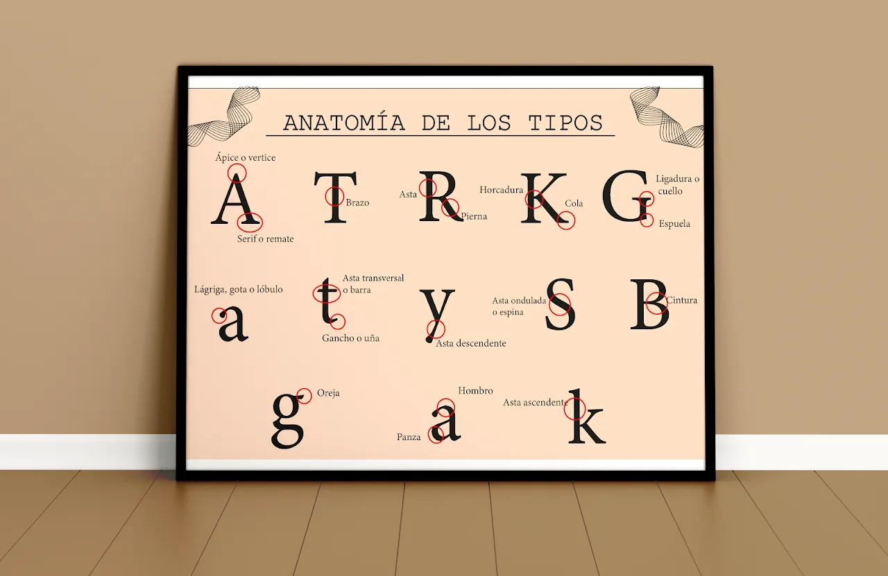 Serie de Ilustración II